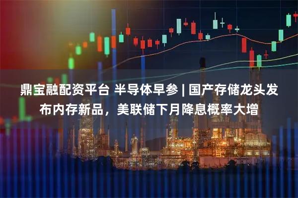 鼎宝融配资平台 半导体早参 | 国产存储龙头发布内存新品，美联储下月降息概率大增