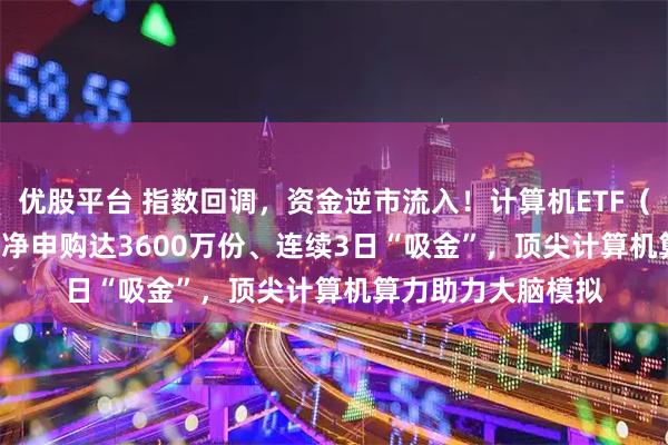 优股平台 指数回调，资金逆市流入！计算机ETF（159998）上周五净申购达3600万份、连续3日“吸金”，顶尖计算机算力助力大脑模拟
