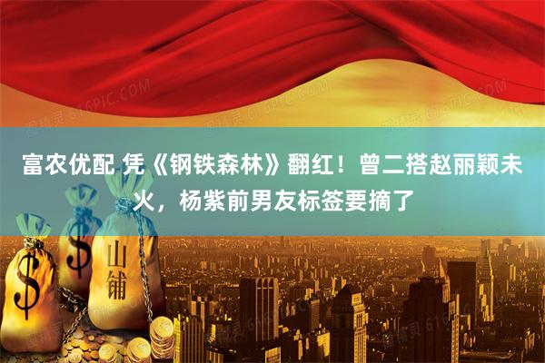 富农优配 凭《钢铁森林》翻红！曾二搭赵丽颖未火，杨紫前男友标签要摘了